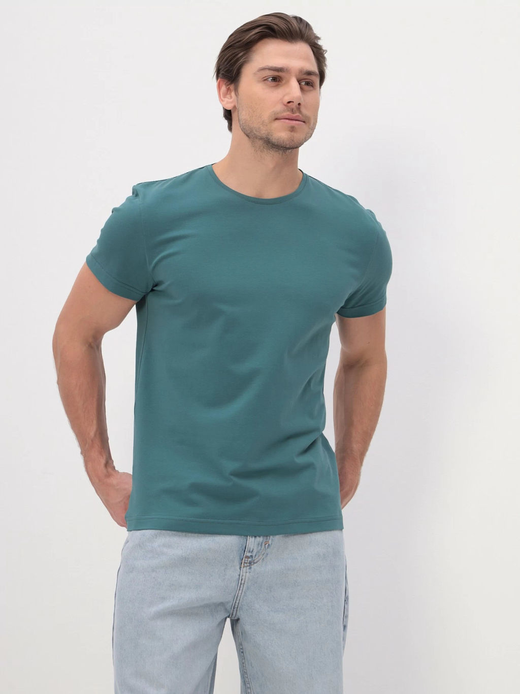 Футболка мужская короткий рукав GREG G145-KO-SA-S5124-N (т.ментол)