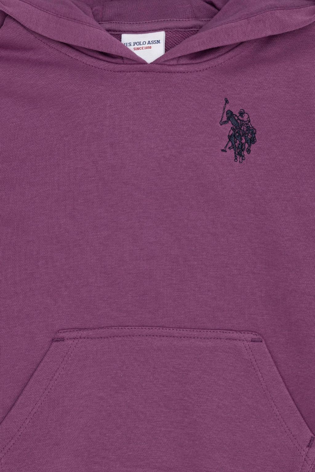 Фиолетовая толстовка для мальчиков Basic - U.s. polo assn фото 3