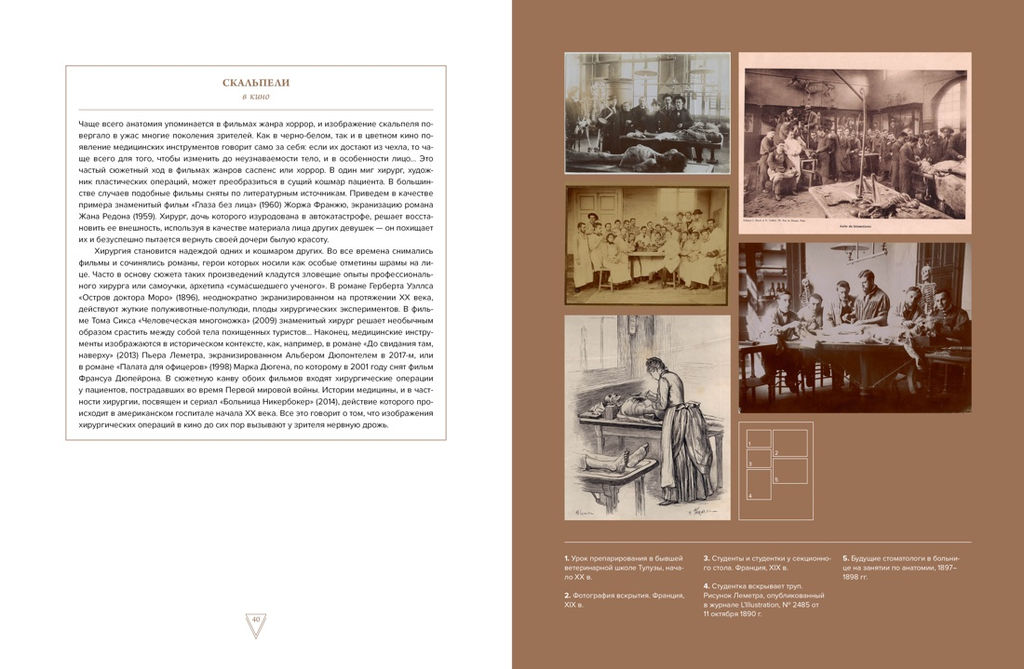 Кабинет редкостей  анатомических, медицинских и жутких. Каз Ж. - Колибри фото 6