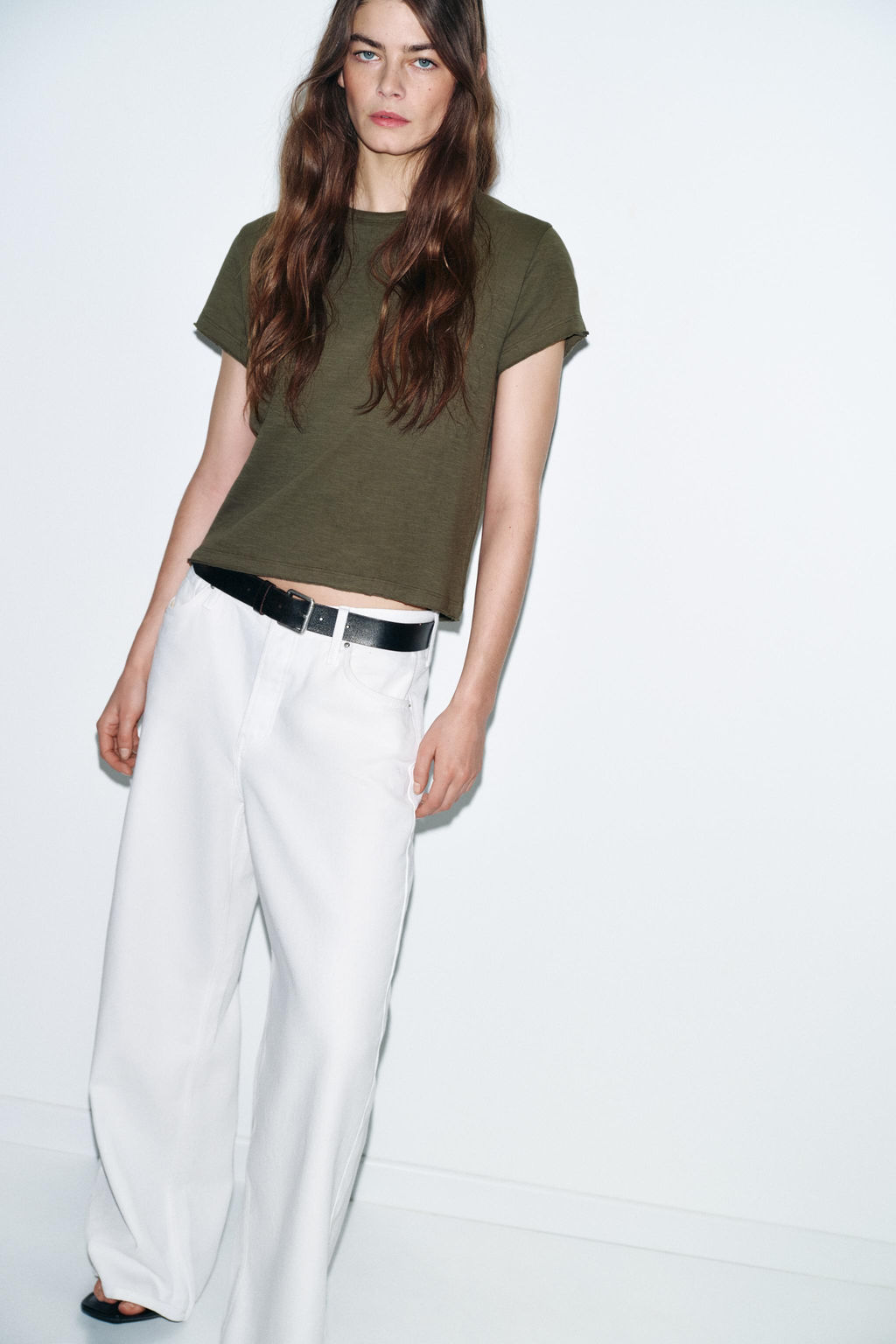 CAMISETA ALGOD?N MANGA CORTA / Khaki