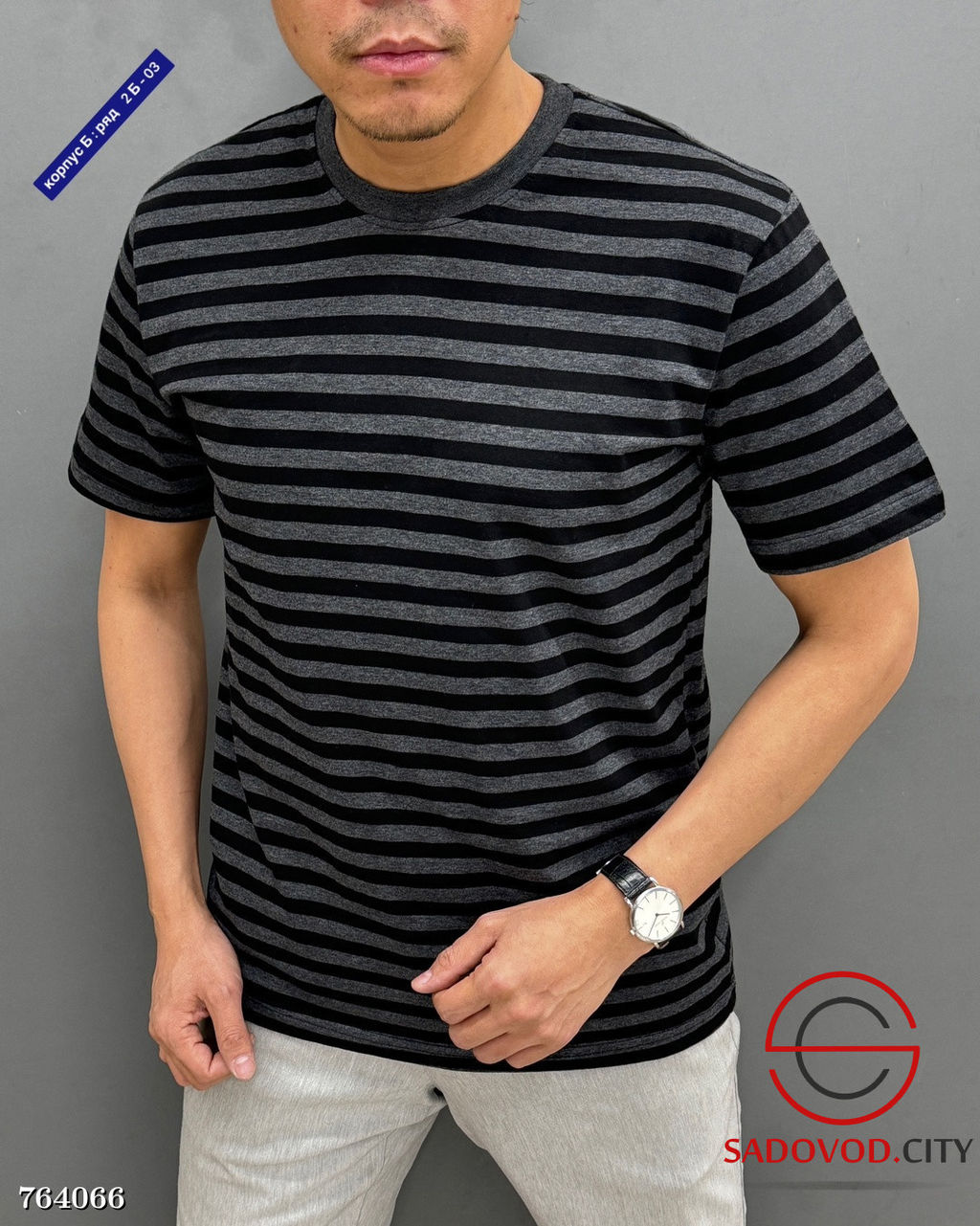 Мужская футболка с полоской