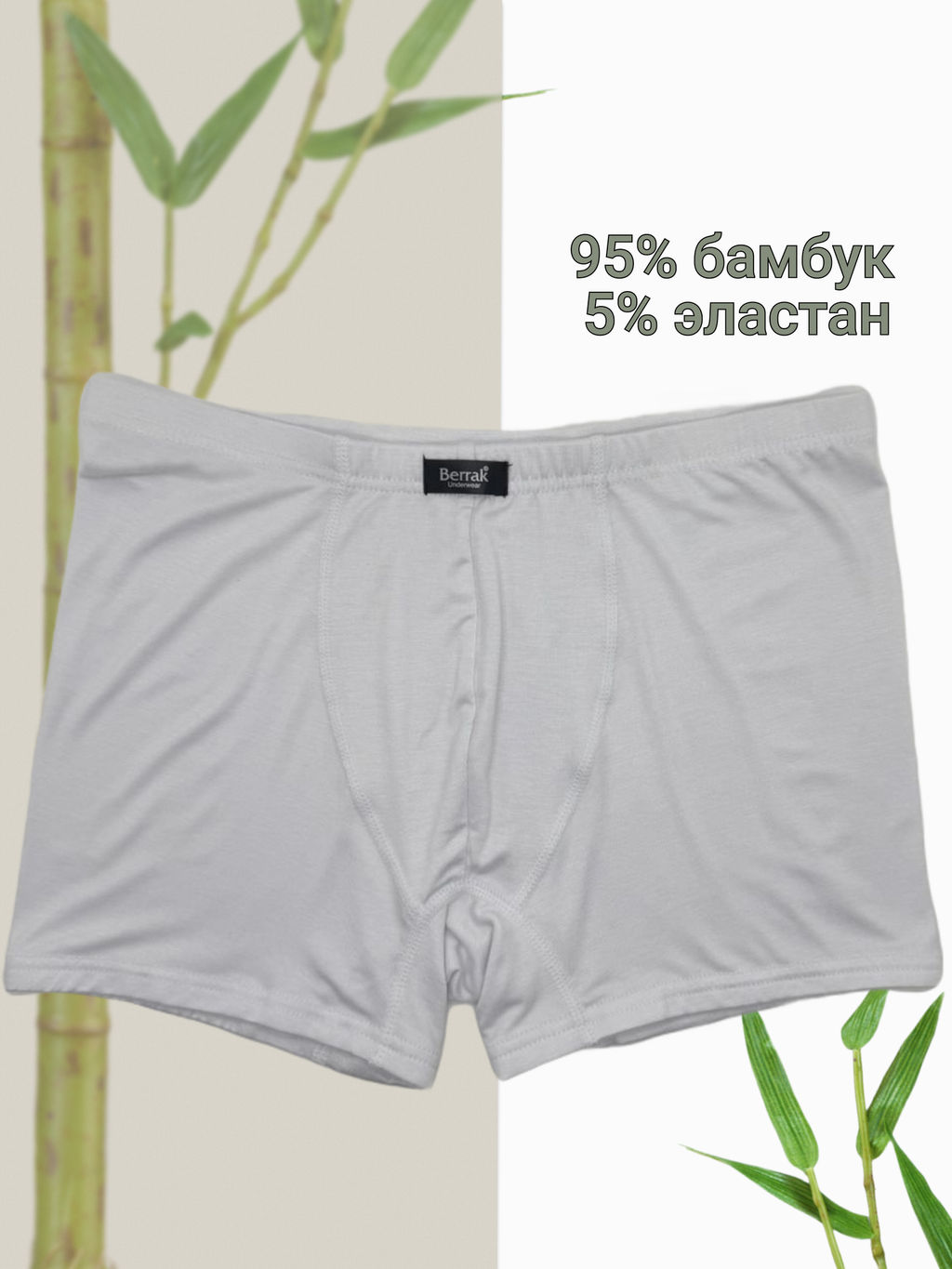 Мужские трусы Berrak 4430