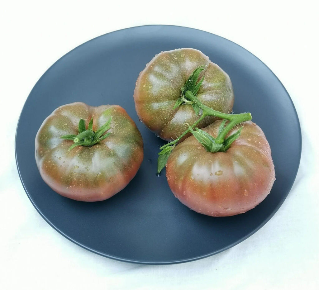 Гордость Пирса