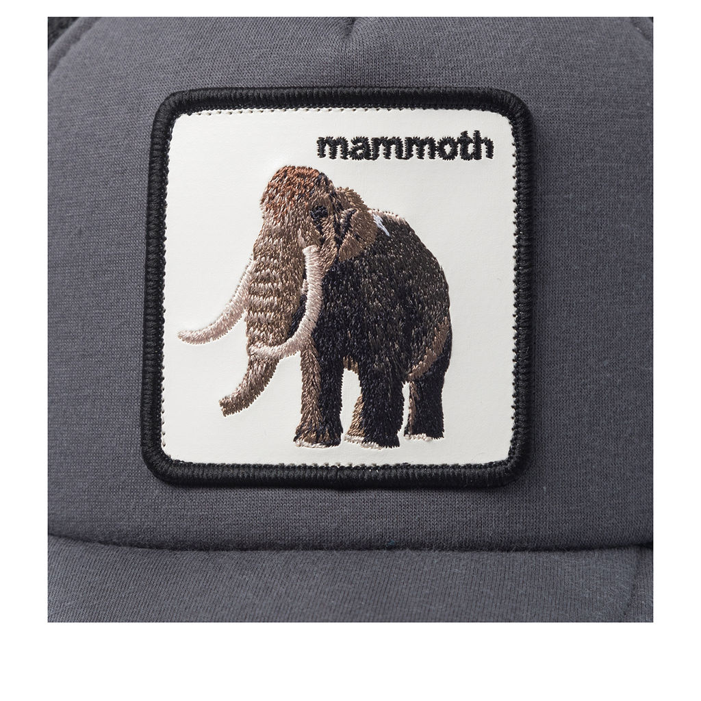 Детская бейсболка GOORIN BROTHERS арт. 201-0060 (серый)