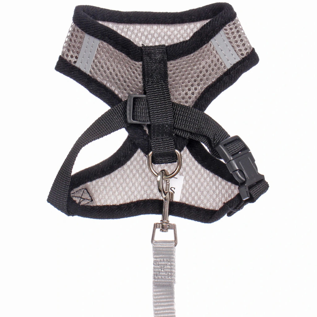 Цена за 2 шт. Шлейка с поводком 118см "Sweet puppy" размер S, цвет серый