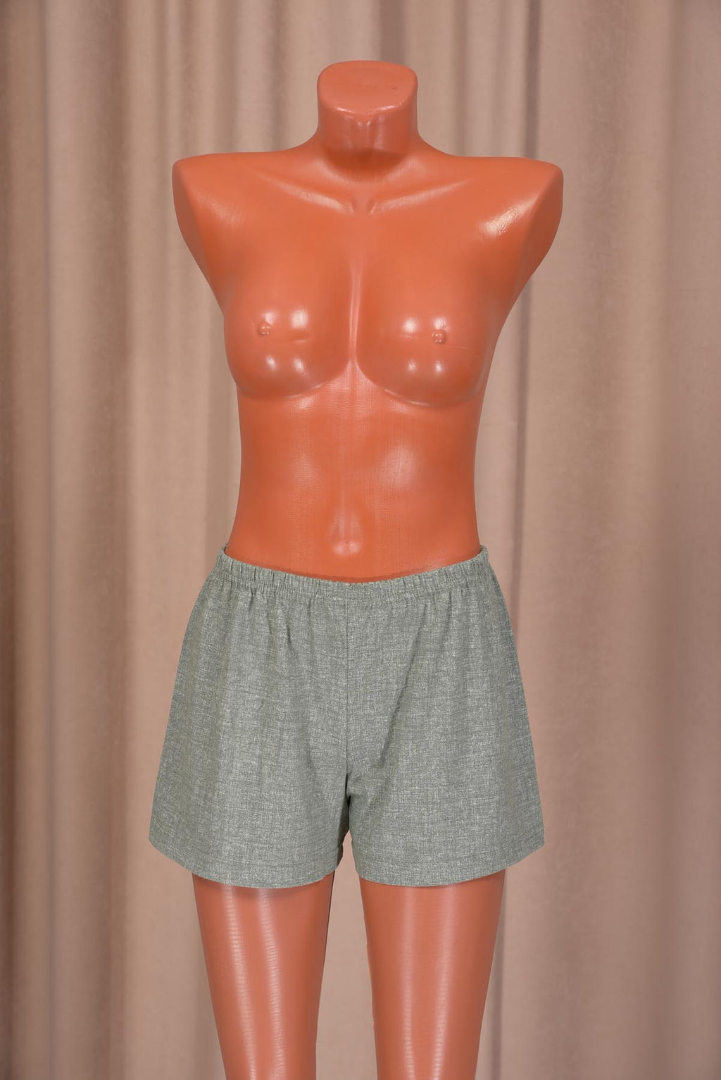 Шорты трикотажные (00754, вариант 45)