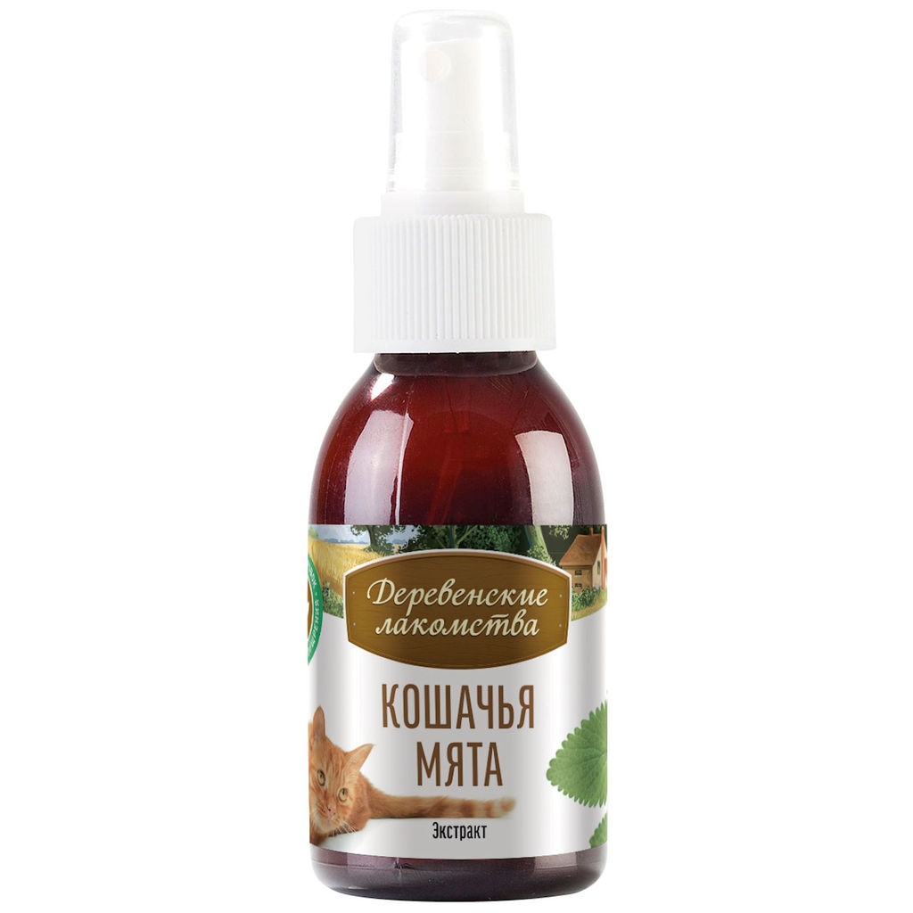 Экстракт кошачьей мяты