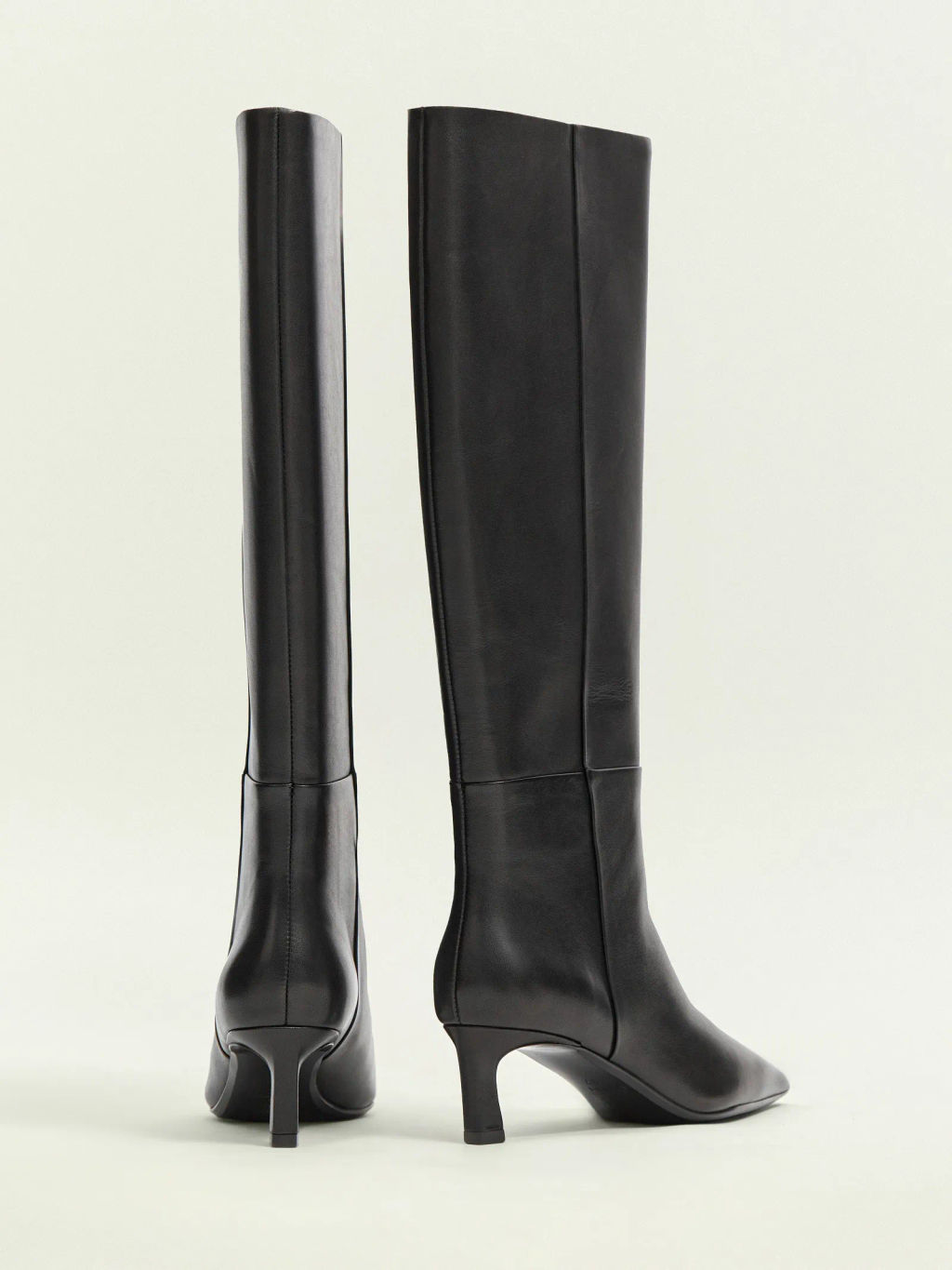 Сапоги из натуральной кожи, W025/naomy