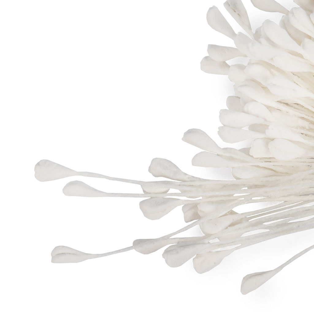 Blumentag Тычинки для искусственных цветов TIC/NSM-1 10 х 160 шт белый/white фото 6