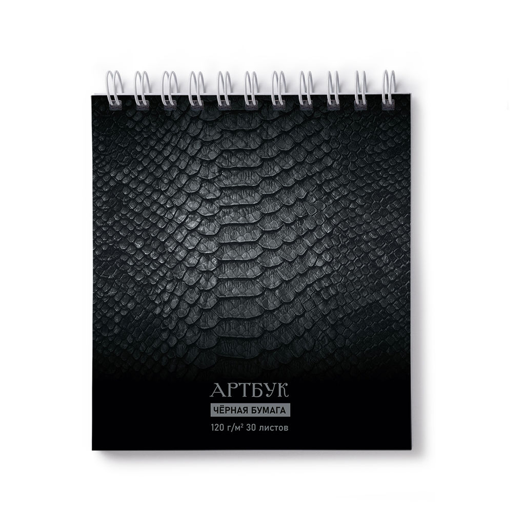 Светоч А306 Артбук (Скетчбук), блок чёрный, жесткая подложка, 120 г/м2 166*175 мм на гребне 30 л. 2 шт. Берн 01940  фото 10