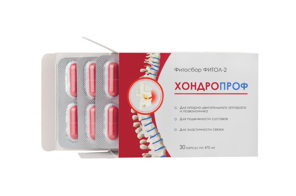Бад Фитосбор Фитол-2 ХОНДРОПРОФ Алфит Плюс 1811  фото 2