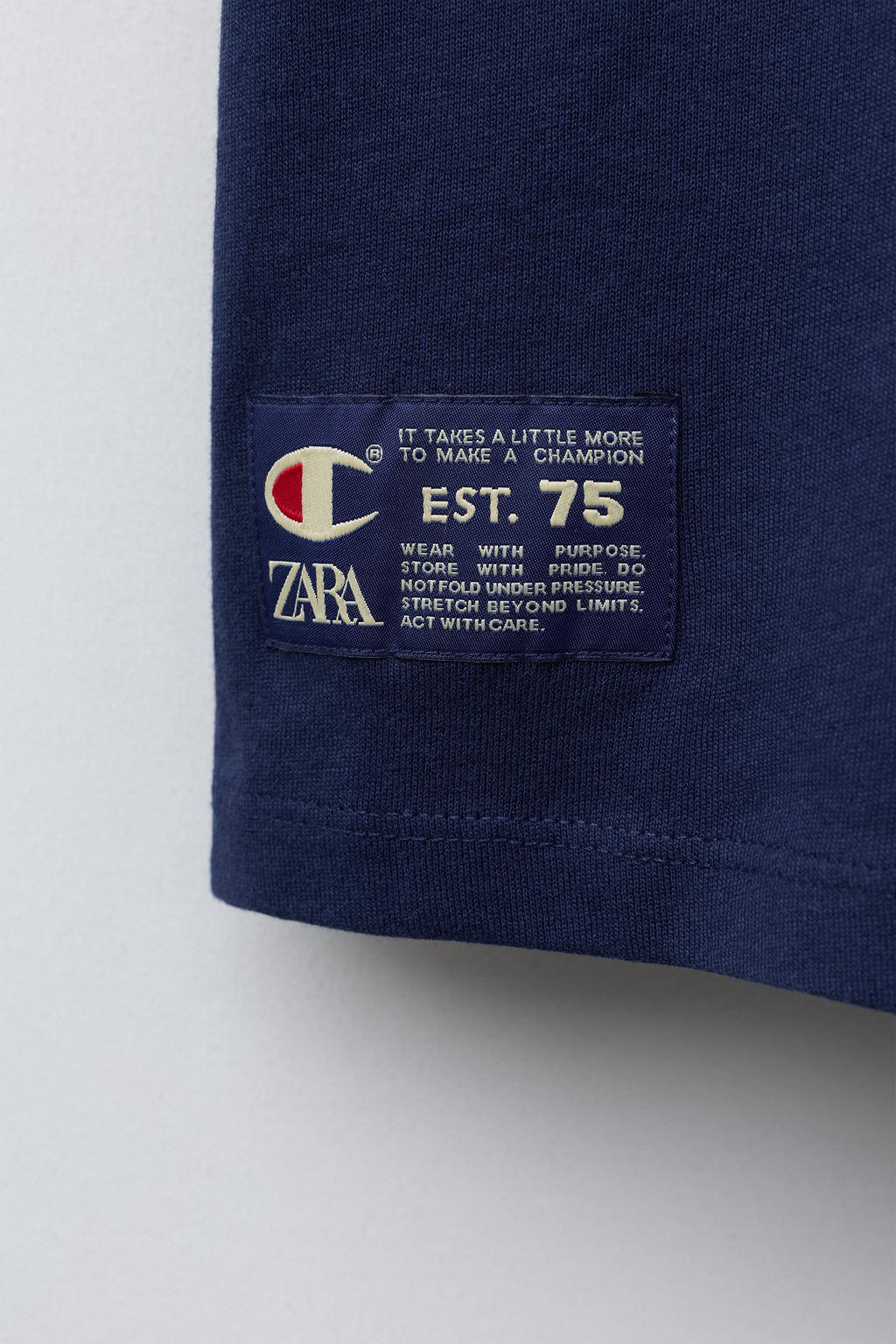 CROCODILE PRINT T-SHIRT CHAMPION ® X ZARA фото 4