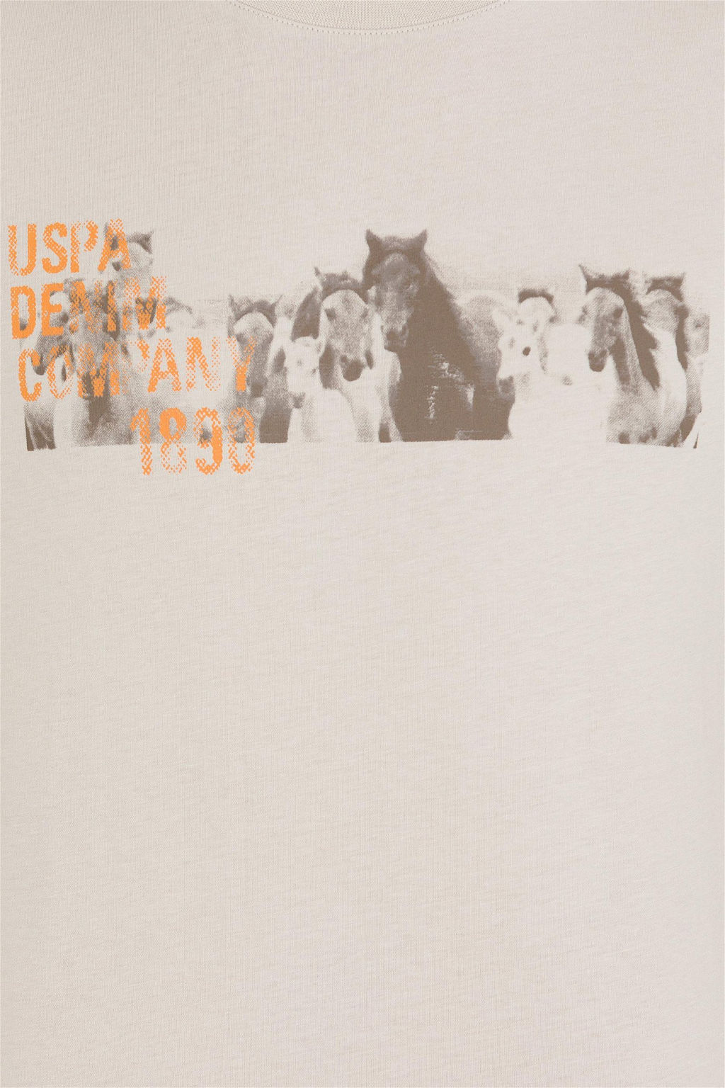 Мужская футболка с круглым вырезом Stone Stone - U.s. polo assn фото 12