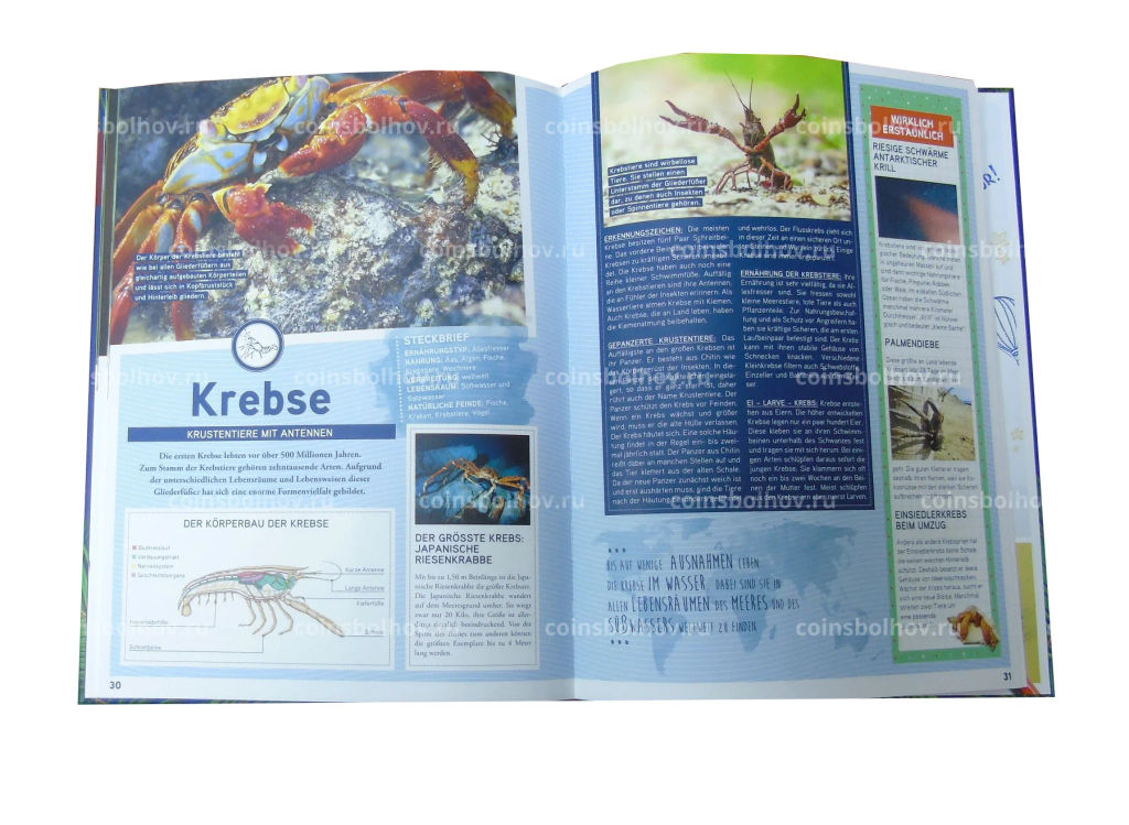 Альбом для монет 3 евро Австрия Животные со всего мира