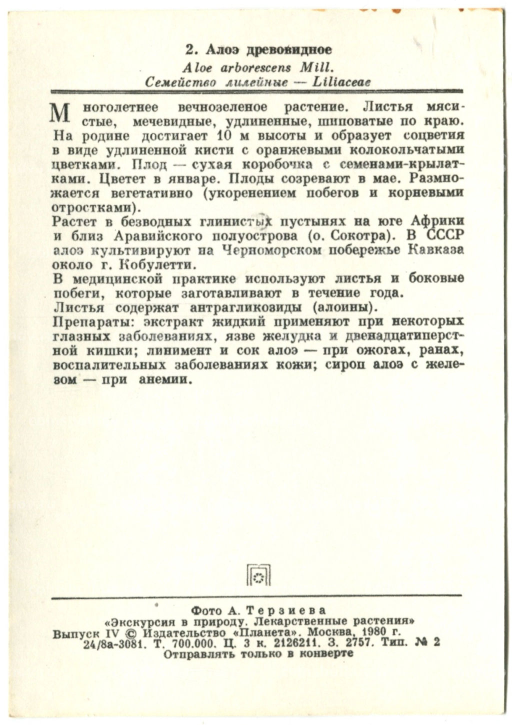 Открытка Алое древовидное