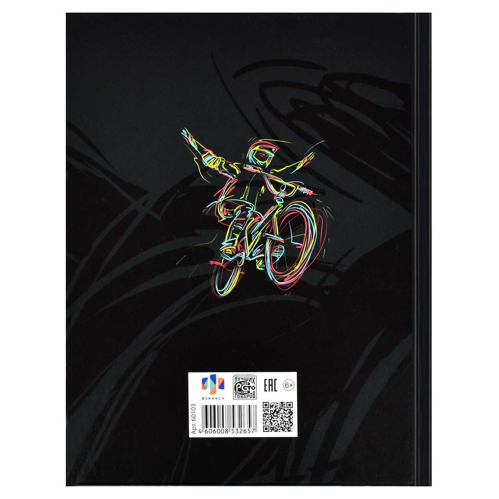 Дневник школьный 5-11 класс арт. 60103 БАЙК ТРЕК - Феникс+ фото 3