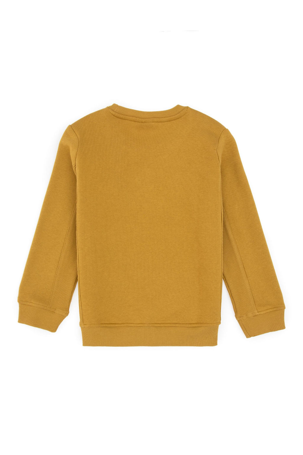 Erkek _ocuk Hardal Bisiklet Yaka Sweatshirt - U.s. polo assn фото 2