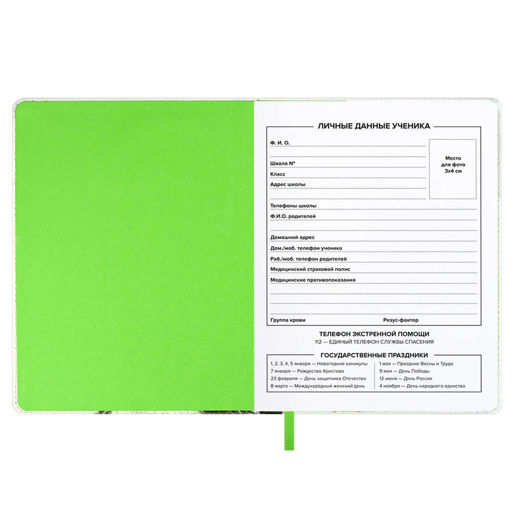 Дневник школьный арт. 68716 / 15 ЕНОТ В ШАПОЧКЕ