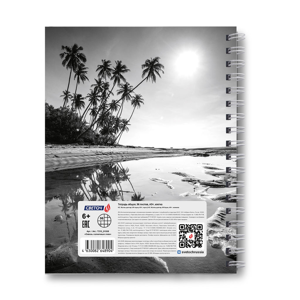Светоч Т213 Тетрадь общая с твердой обложкой, матовая ламинация A5 96 л. на гребне 65 г/кв.м , белизна 100 % 4 шт. клетка 01558 Сквозь солнечные очки  фото 5