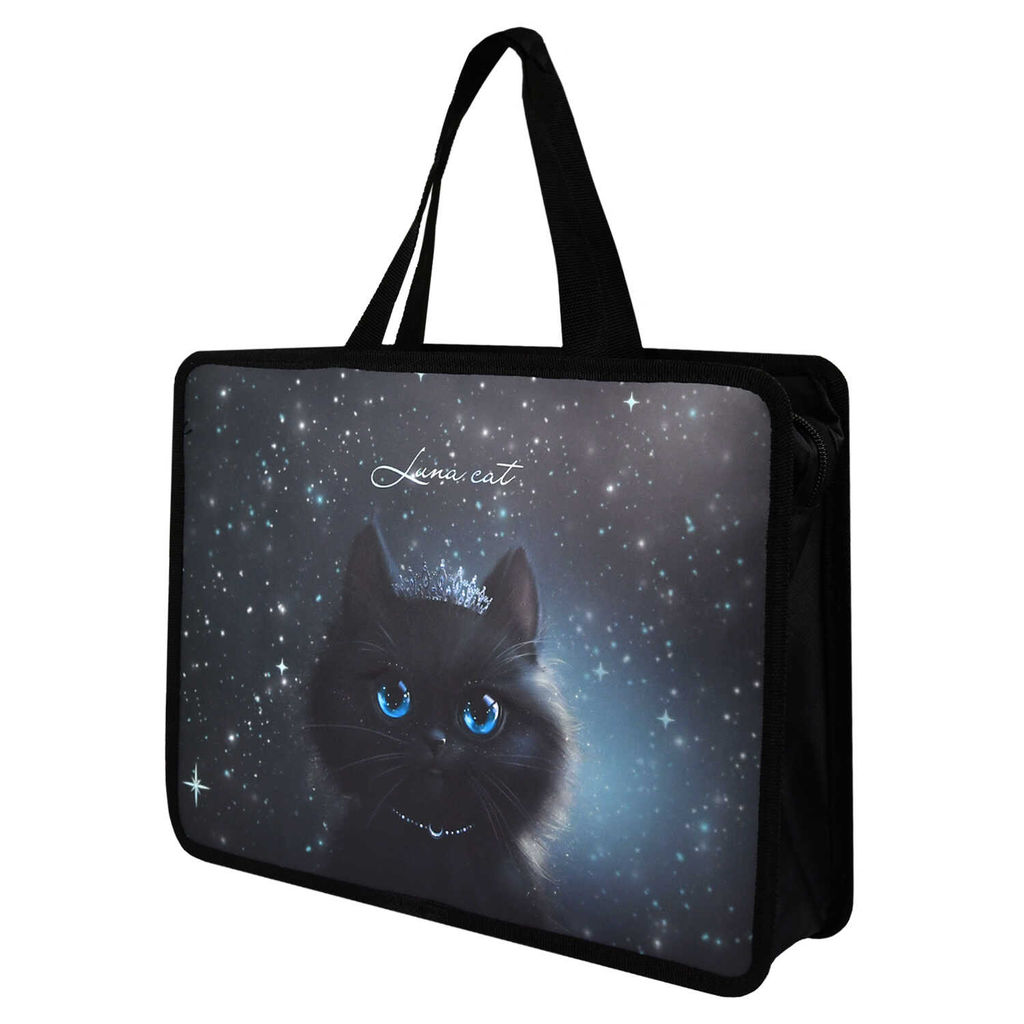 Папка для школьных тетрадей пластиковая Феникс+, арт. 69275/ 12 ПРИНЦЕССА ЛУНА