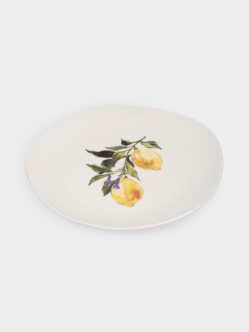 Тарелка обеденная, 26 см, фарфор P, белая, Лимоны, Lemon branch - Anna lafarg фото 4