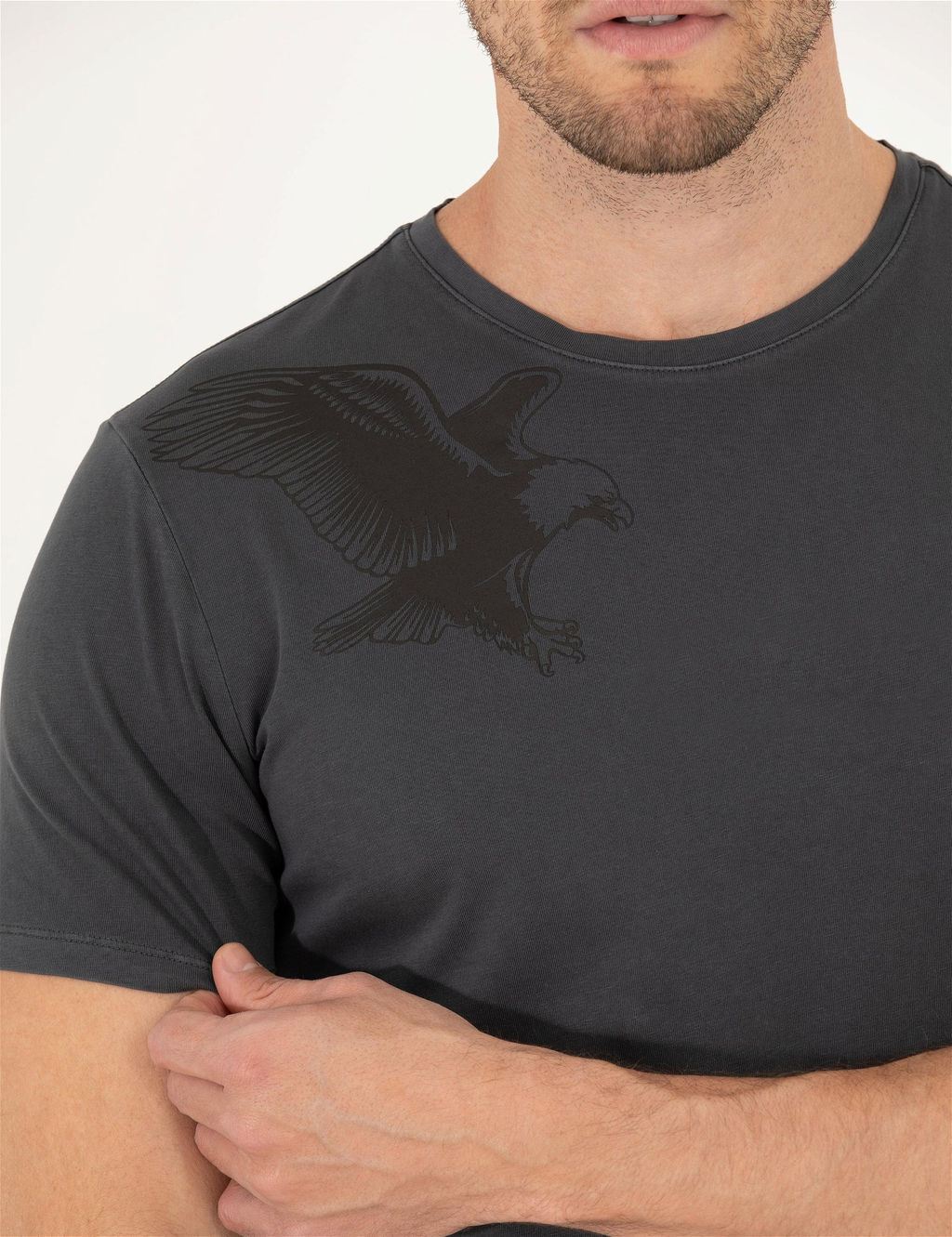 Siyah Slim Fit Kartal Bask_l_ Bisiklet Yaka Ti__rt - Pierre cardin фото 6