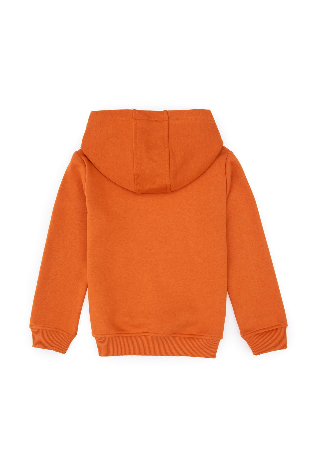 Erkek _ocuk Bak_r Basic Kap__onlu Sweatshirt - U.s. polo assn фото 2