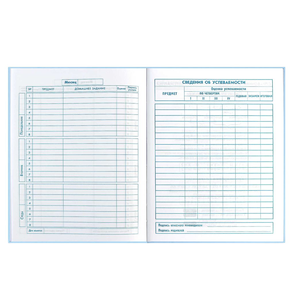 Дневник школьный 1-4 класс арт. 60063 ДЕВИЧЬИ ИГРЫ - Феникс+ фото 10