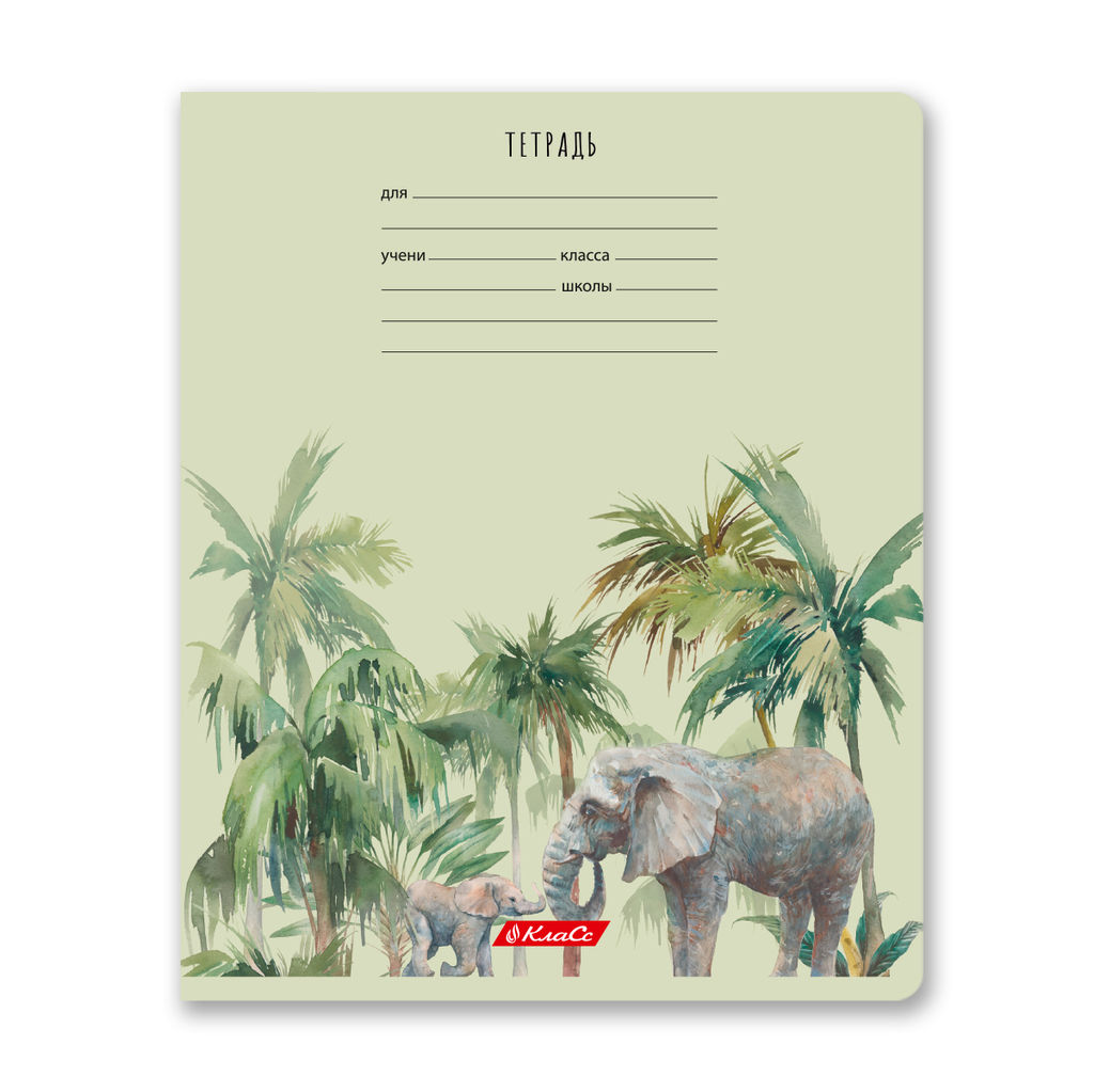 Светоч 24ТЕТк-001 Тетрадь ученическая школьная, A5 24 л. на скобе 65 г/кв.м , белизна 100 % 30 шт. клетка 000721 Саванна  фото 8
