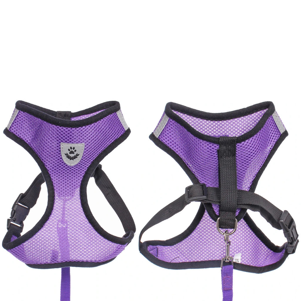 Цена за 2 шт. Шлейка с поводком 118см "Sweet puppy" размер ХL, цвет фиолетовый