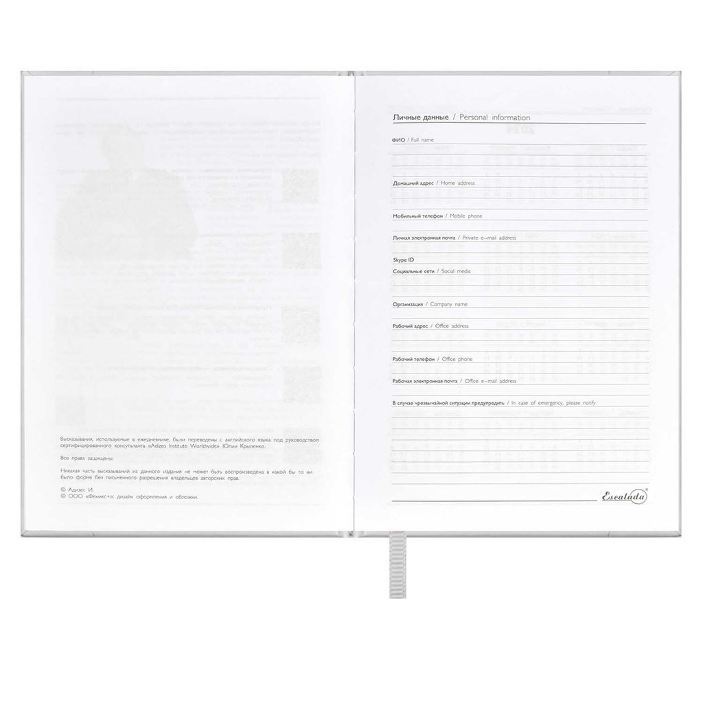 Ежедневник датированный 2024 ESCALADA, А6+, 176 л., арт. 63797/ 20 ПЛОНЖЕ МЕТАЛЛИК СЕРЕБРЯНЫЙ  фото 4