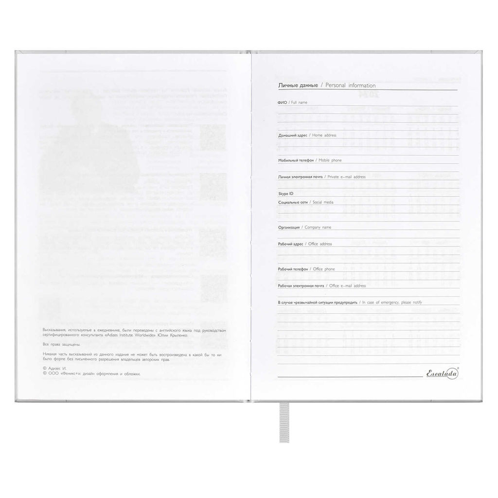 Ежедневник датированный 2024 ESCALADA, А5, 176 л., арт. 63747/ 15 ПЛОНЖЕ МЕТАЛЛИК СЕРЕБРЯНЫЙ  фото 4