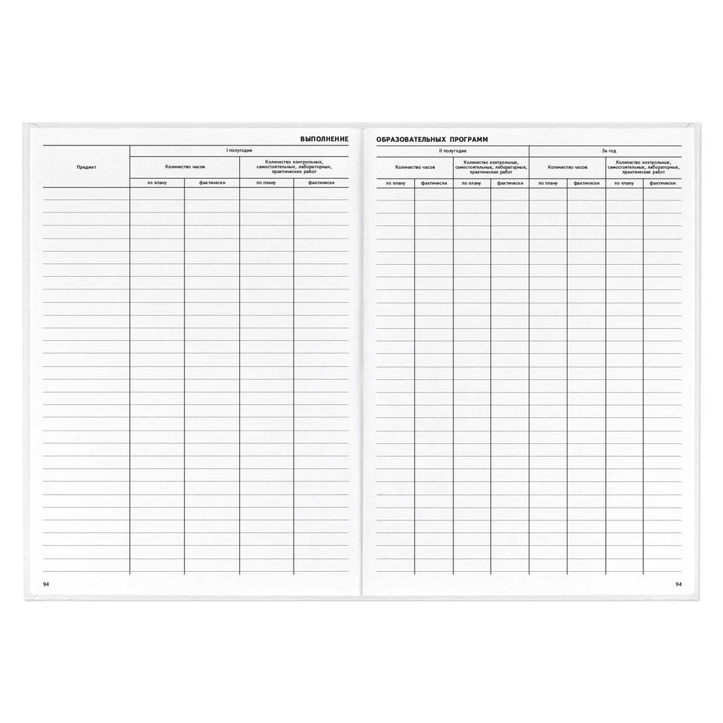 Классный журнал 10-11 класс арт. 5193