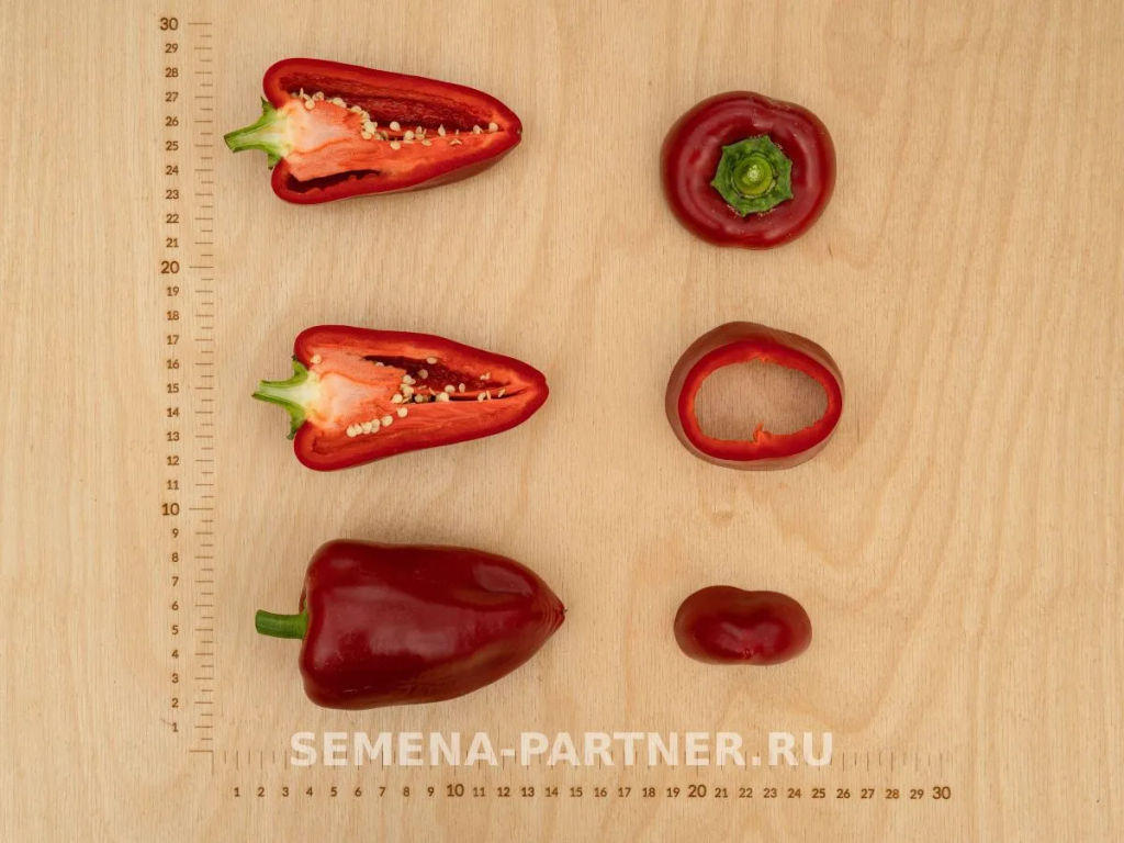 Перец сладкий Пилот - Партнер фото 4