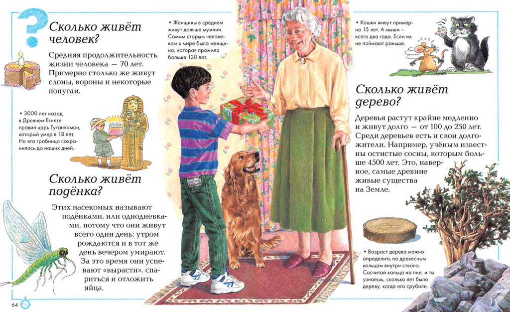 Отчего и почему?. Ганери А., Уолпол Б., Стил Ф.,... - Махаон фото 4