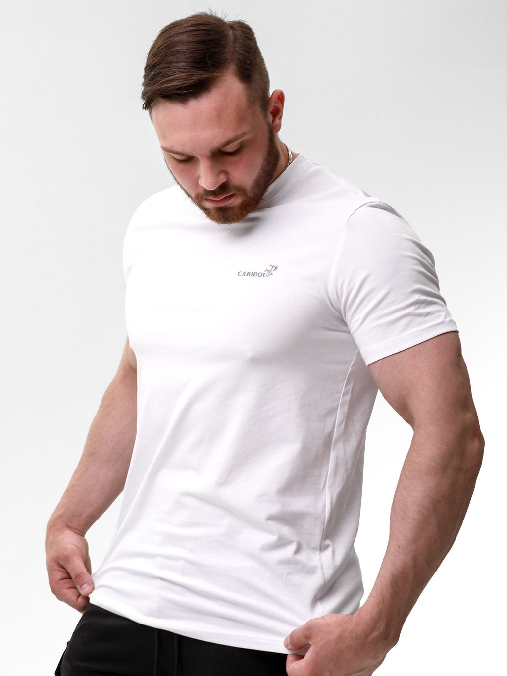 Футболка мужская классика Сaribou (белый) - CARIBOU фото 2