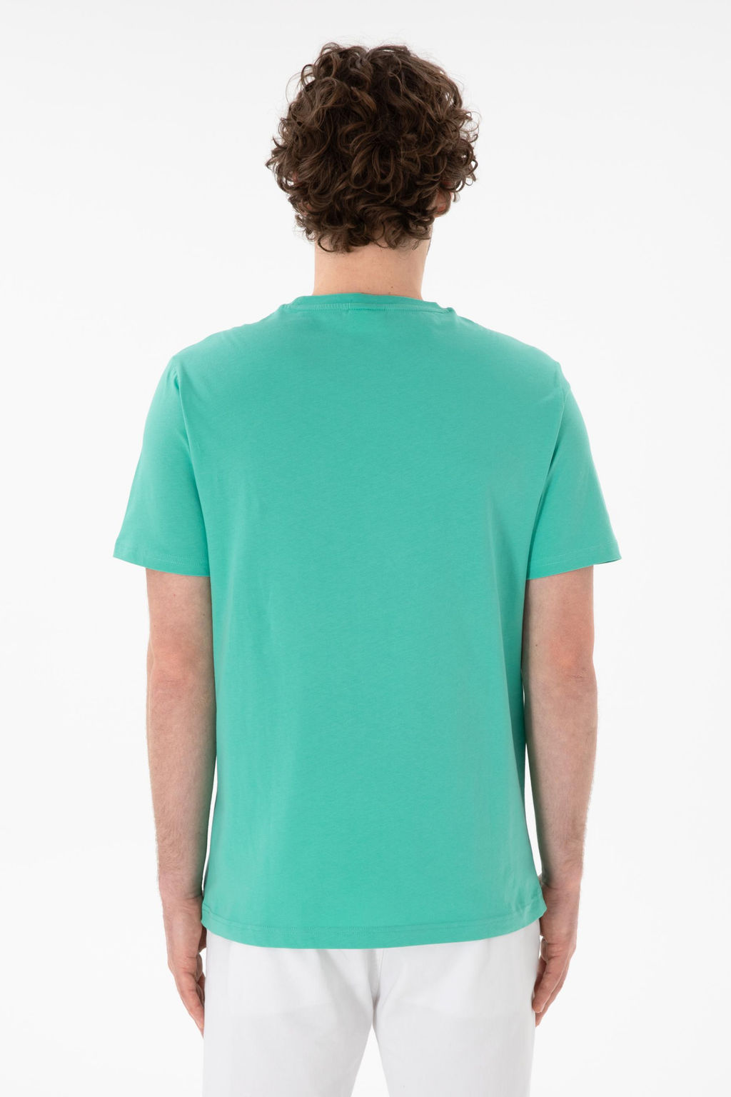 Erkek Regular Fit Bisiklet Yaka Mint Basic Ti__rt Sepette S_rpriz _ndirim - U.s. polo assn фото 6