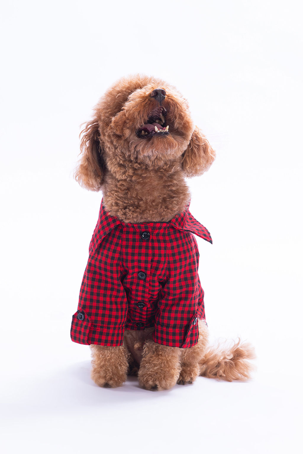 Pet Ekose Desenli Kopek Gomlegi/K?yafeti TPHAW26KF00002 - Trendyolmilla фото 3