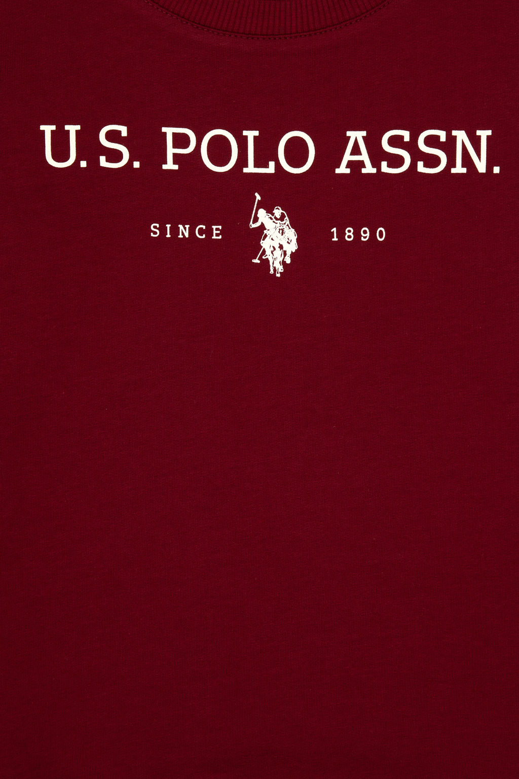Erkek _ocuk Bordo Bisiklet Yaka Sweatshirt Sepette S_rpriz _ndirim - U.s. polo assn фото 10