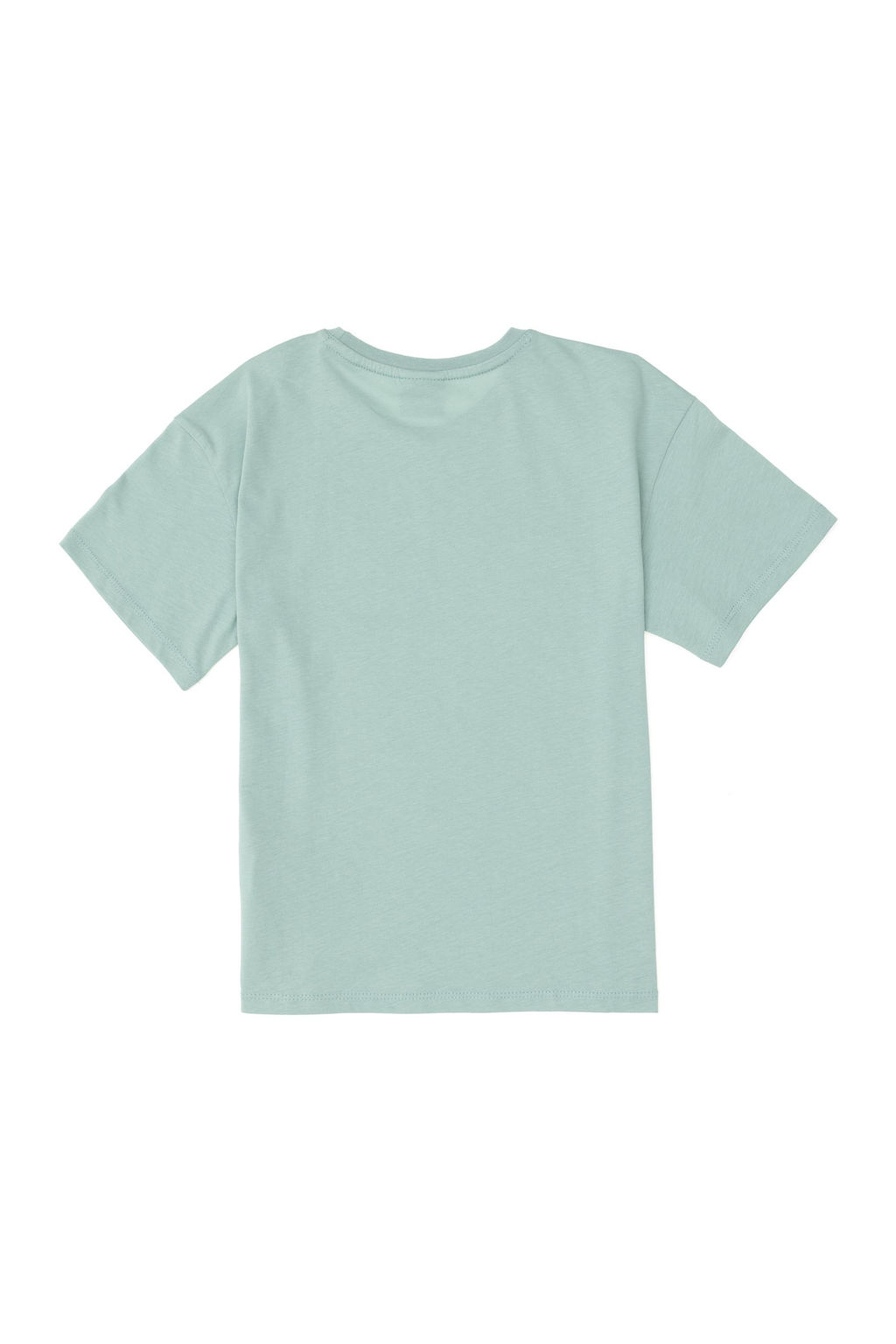 Футболка водно-зеленого цвета для мальчика Неожиданная скидка в корзине - U.s. polo assn фото 2