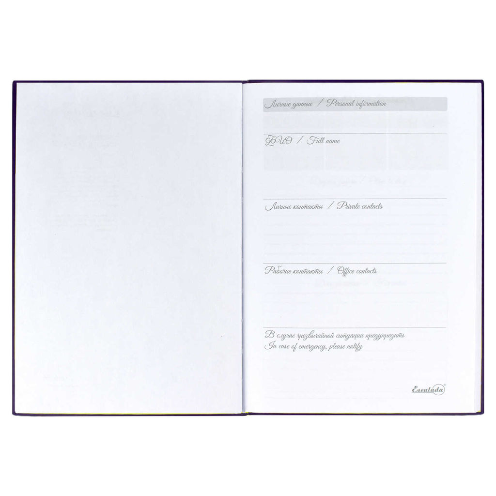 Ежедневник недатированный, А5, арт. 52439/ 15 ВИННЕР ФИОЛЕТОВЫЙ - Феникс+ фото 6