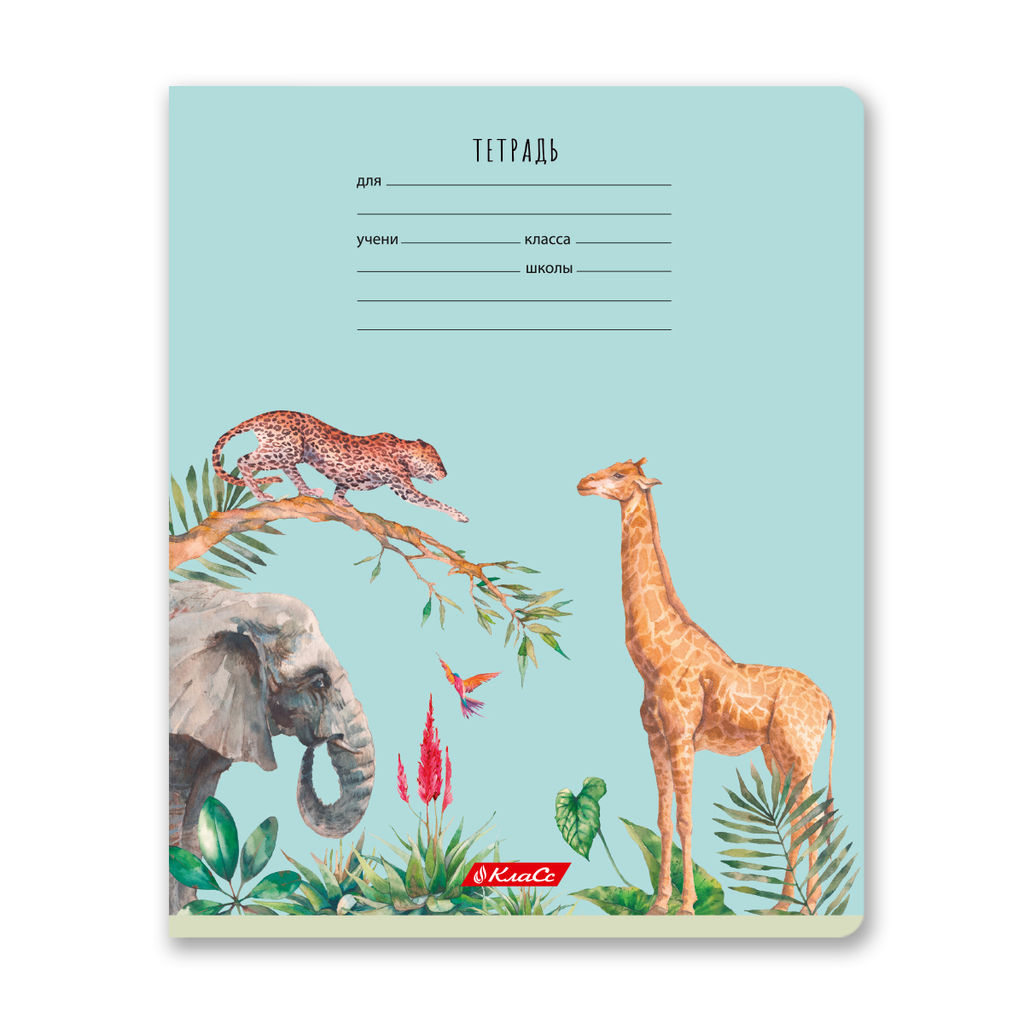 Светоч 24ТЕТк-001 Тетрадь ученическая школьная, A5 24 л. на скобе 65 г/кв.м , белизна 100 % 30 шт. клетка 000721 Саванна  фото 5