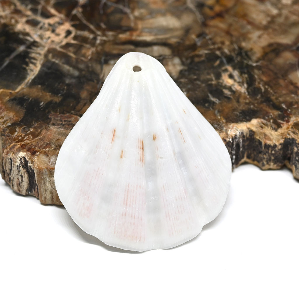 Ракушка морской гребешок в натуральном цвете 30*35мм, 5 ракушек Радуга камня