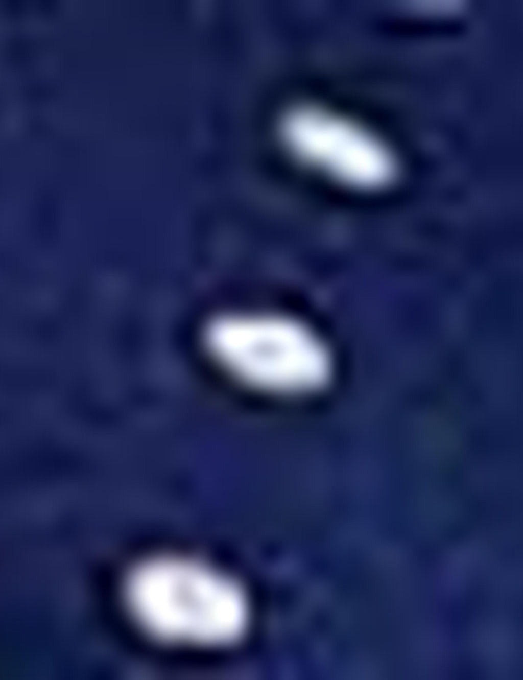 Lacivert Dokuma Elbise - Pierre cardin фото 8