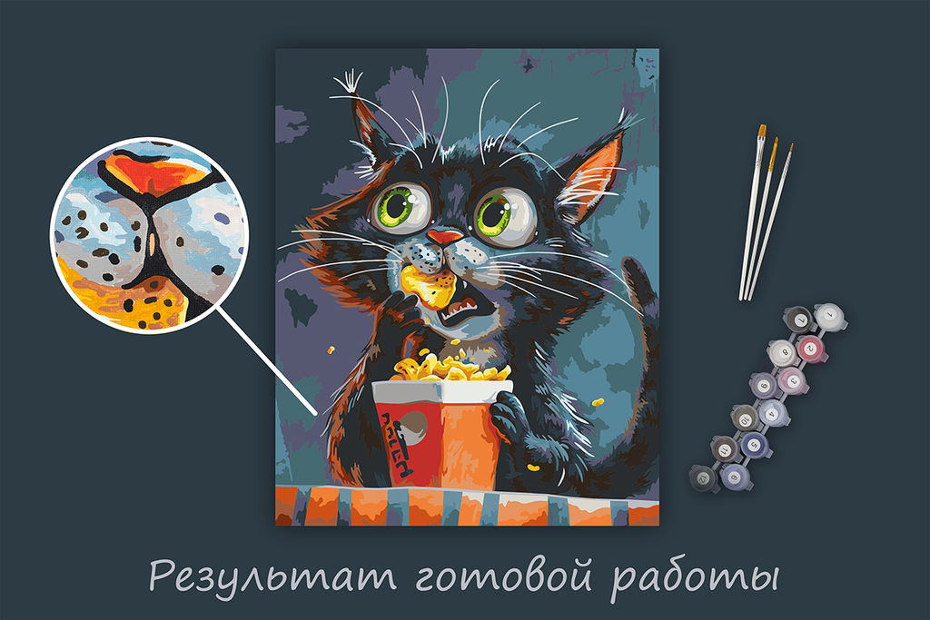 ФРЕЯ PNB/PL-347 Набор для раскрашивания по номерам 50 х 40 см Киносеанс