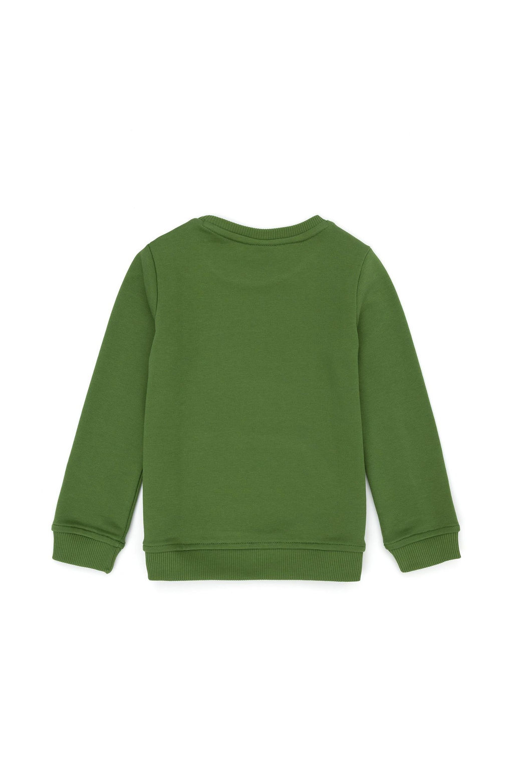 U. S. Polo Assn Зеленый базовый свитшот с круглым вырезом для мальчиков - U.s. polo assn фото 2