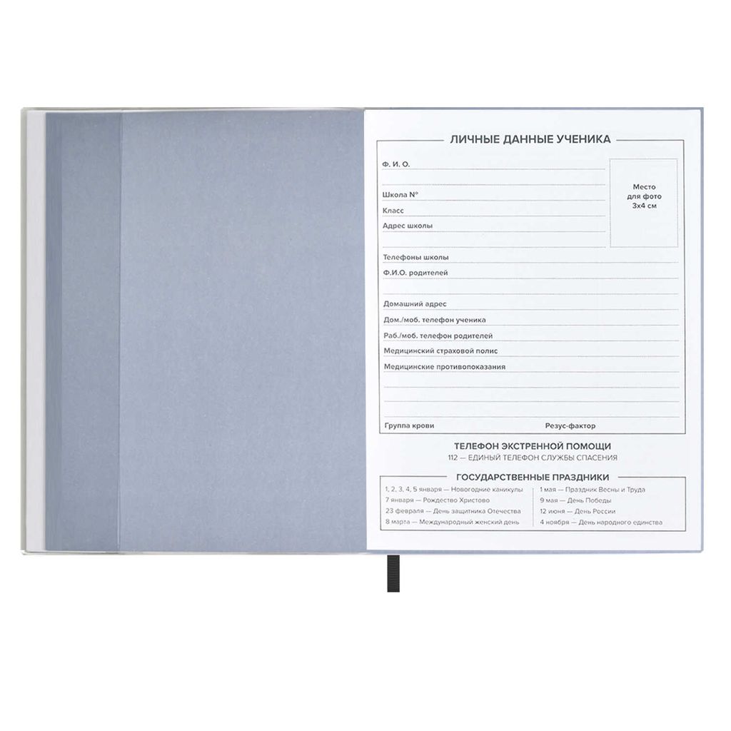 Дневник школьный арт. 54190 / 15 ЕНОТ - Феникс+ фото 4