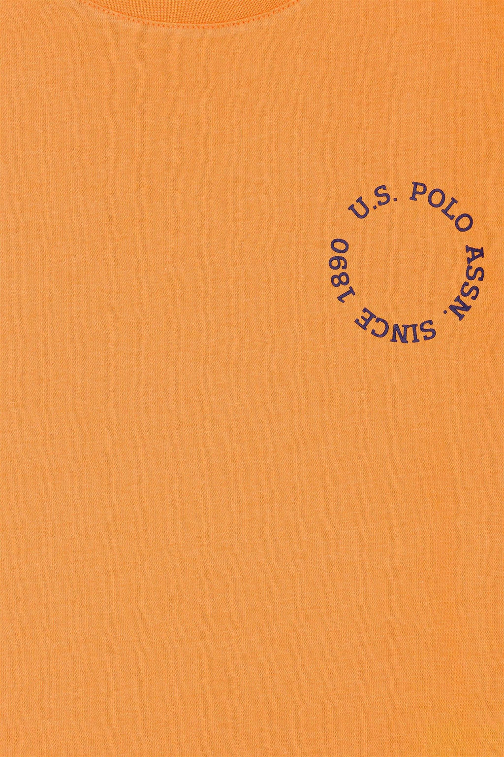 Детская оранжевая футболка с круглым вырезом Неожиданная скидка в корзине - U.s. polo assn фото 5