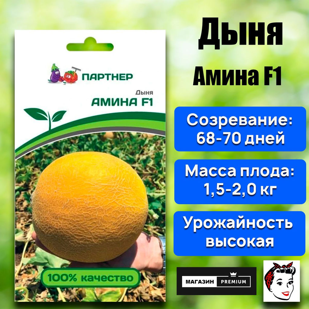 3017P Дыня АМИНА F1 5шт
