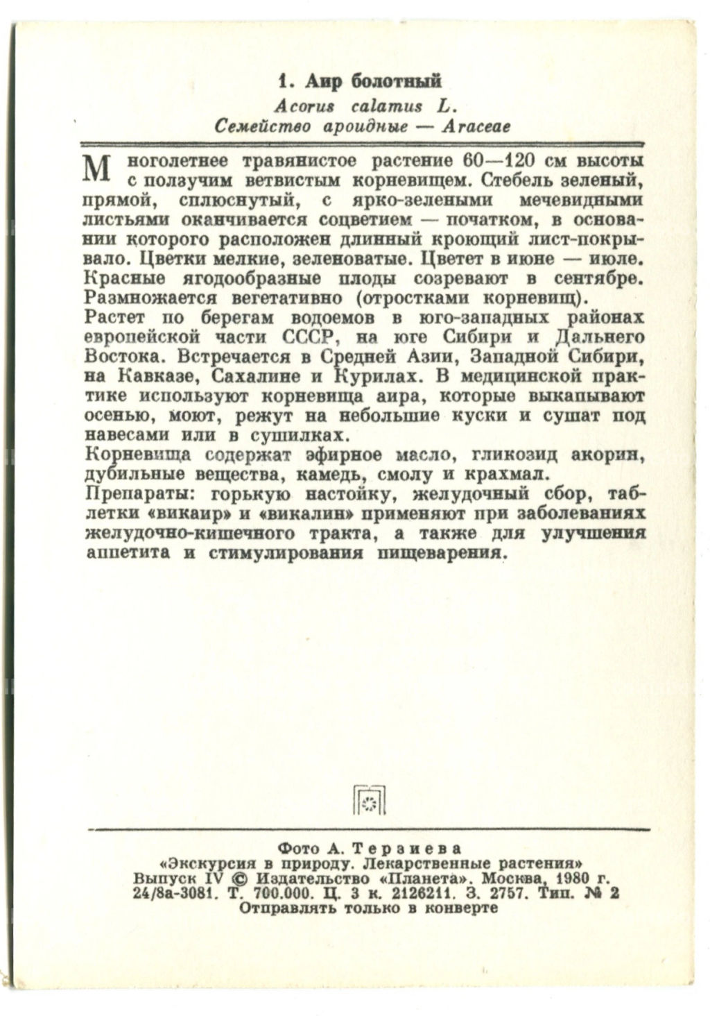 Открытка Аир болотный